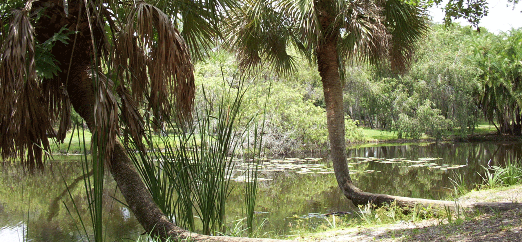 White-City-Park-web | Visit St. Lucie