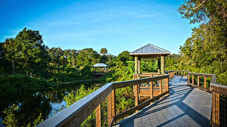 St. Lucie’s 5 Must-hikes