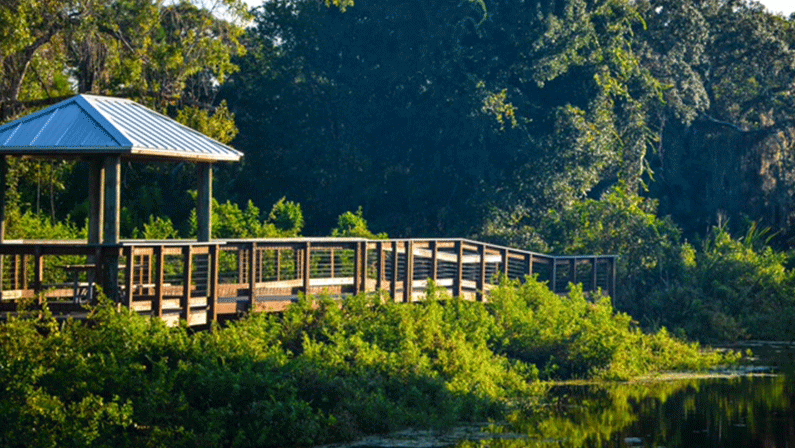 St. Lucie’s 5 Must-hikes