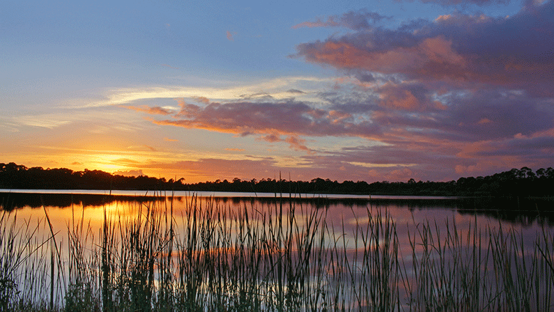 St. Lucie’s 5 Must-hikes