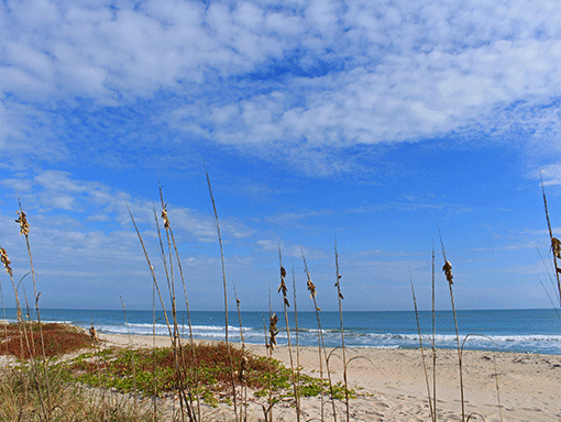 Beach at Pepper Park