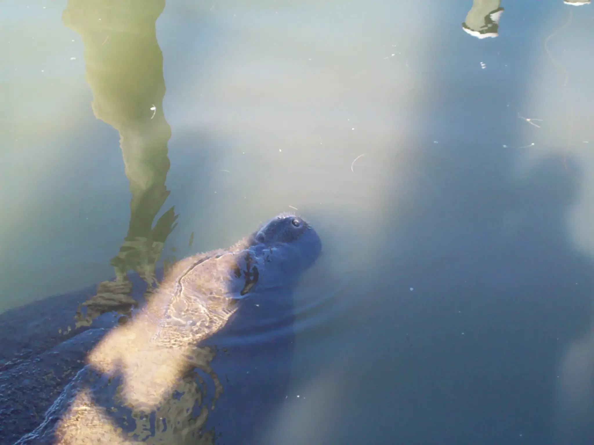 Family-friendly Activities On The Indian River Lagoon