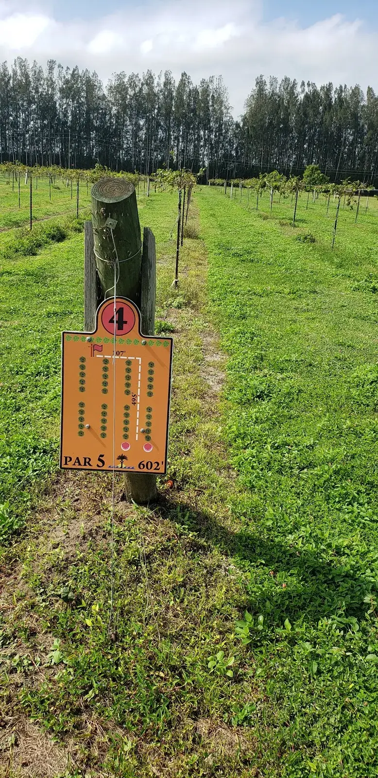 Muscadine Meadows Disc Golf Course image