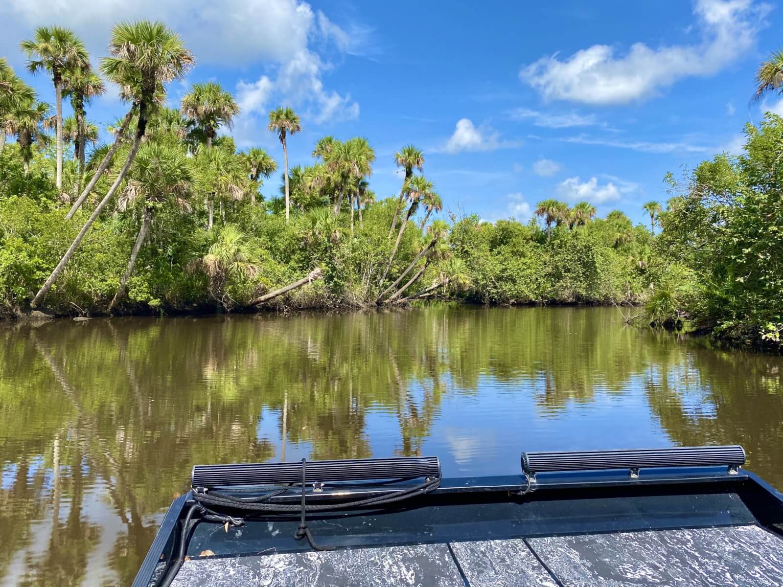 Southern Style Airboat Tours