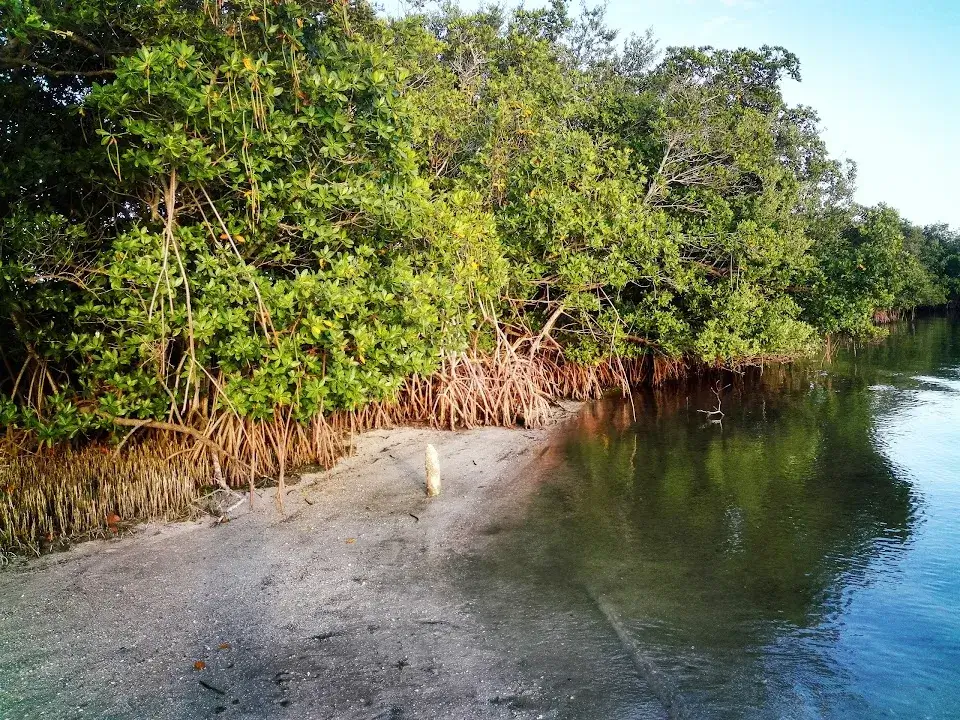 Bear Point Sanctuary