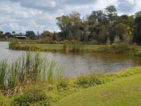 Citrus Hammock Preserve image