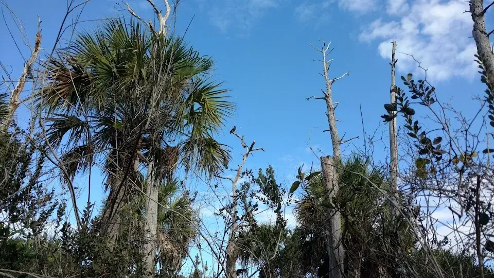 Hackberry Hammock Preserve