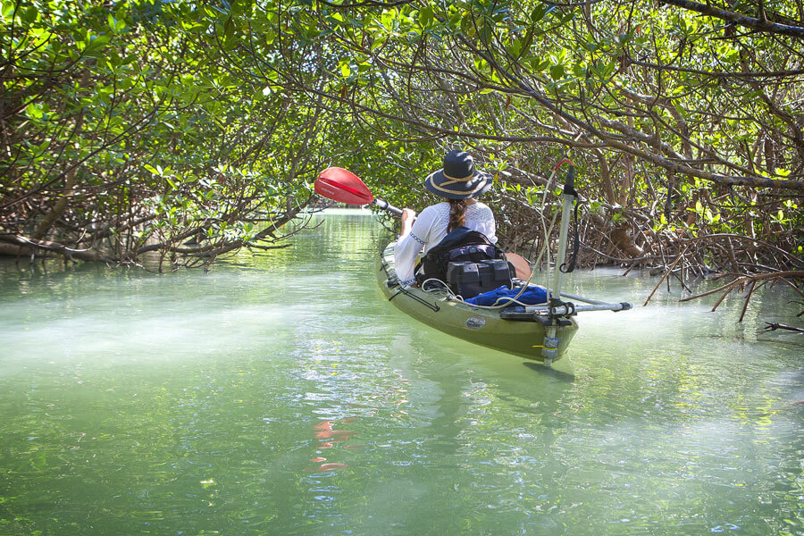 Person in a kayak on the water