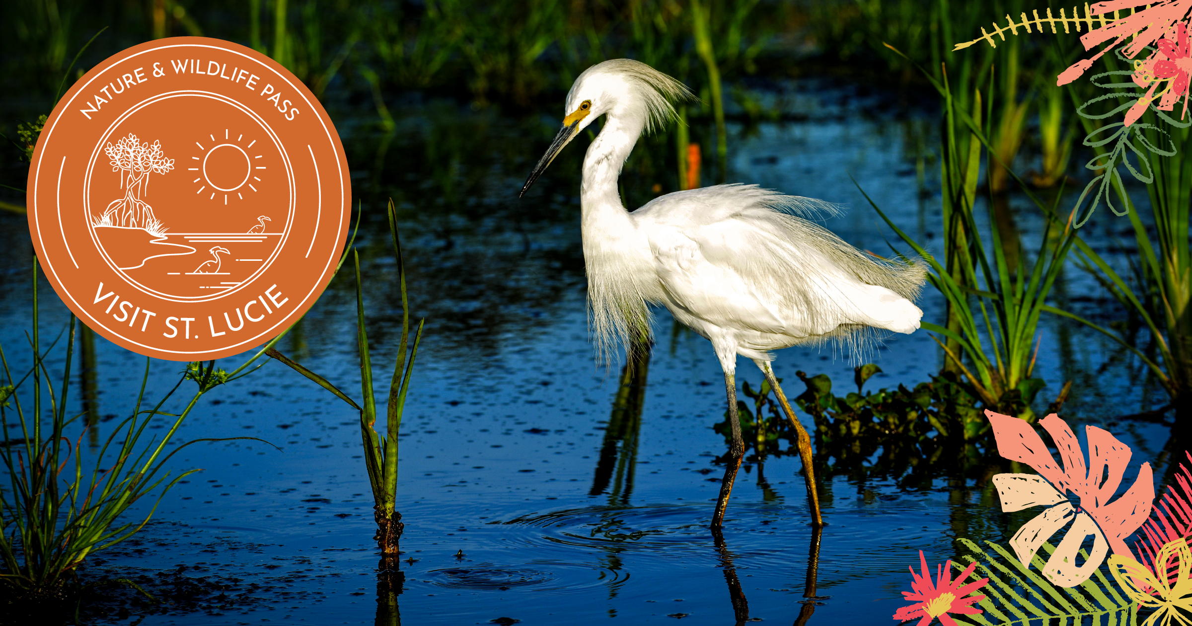 Nature & Wildlife Pass logo with a white egret bird standing in water in St. Lucie, Florida.