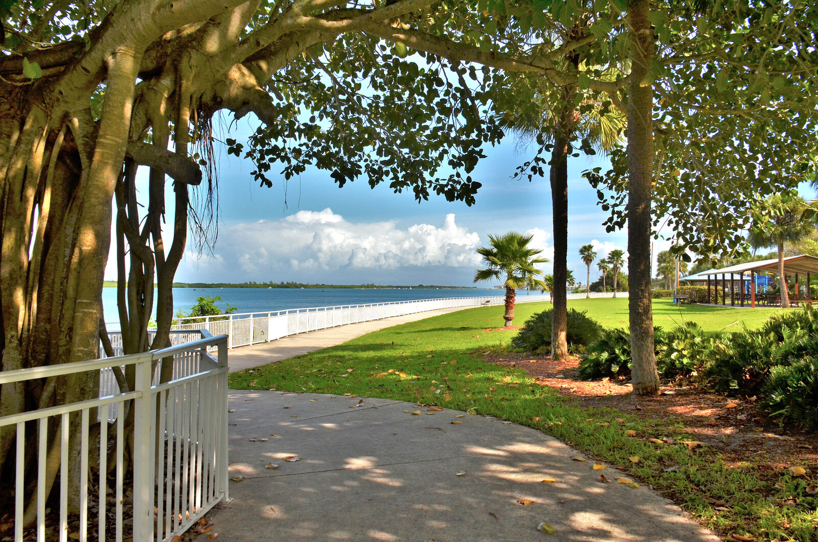 Top Reasons to Visit Fort Pierce this Summer