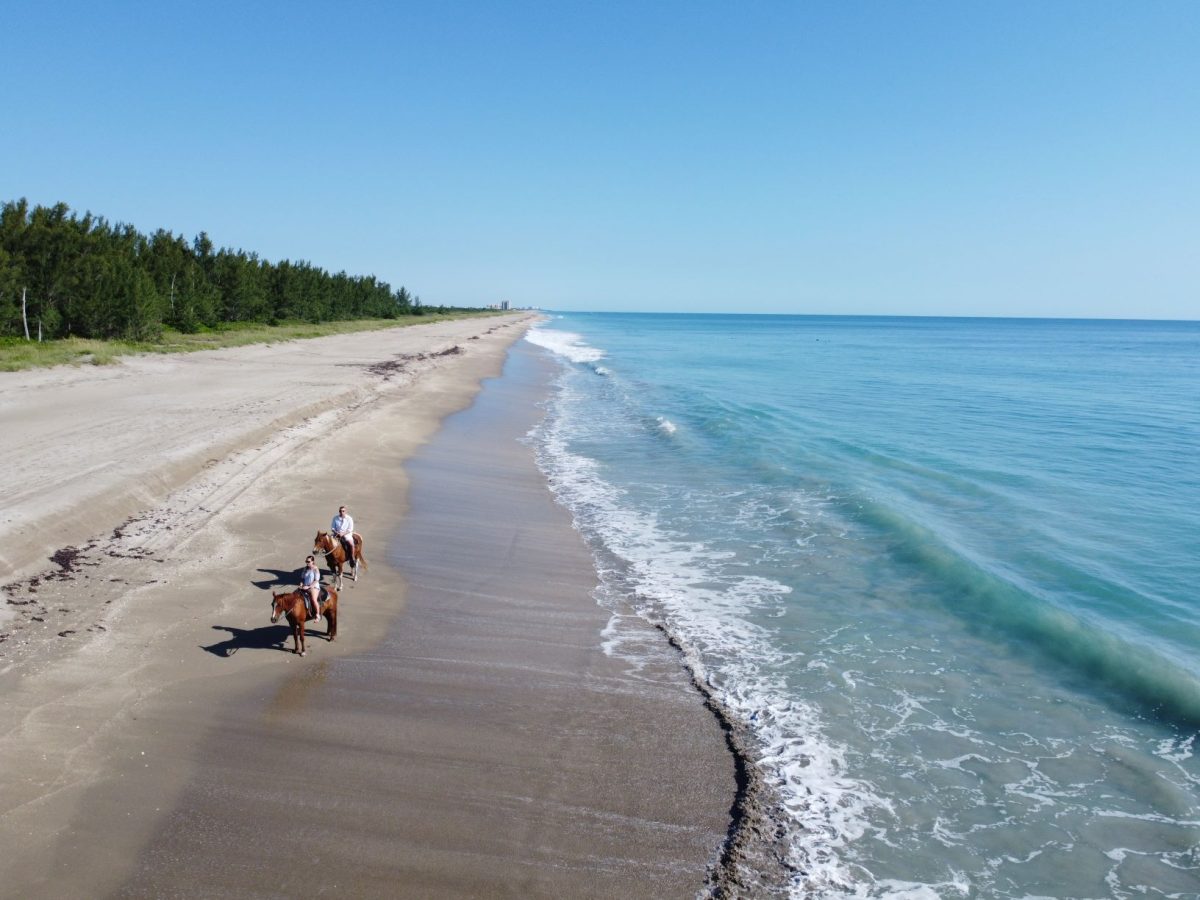 Horseback ridimg on the beach 