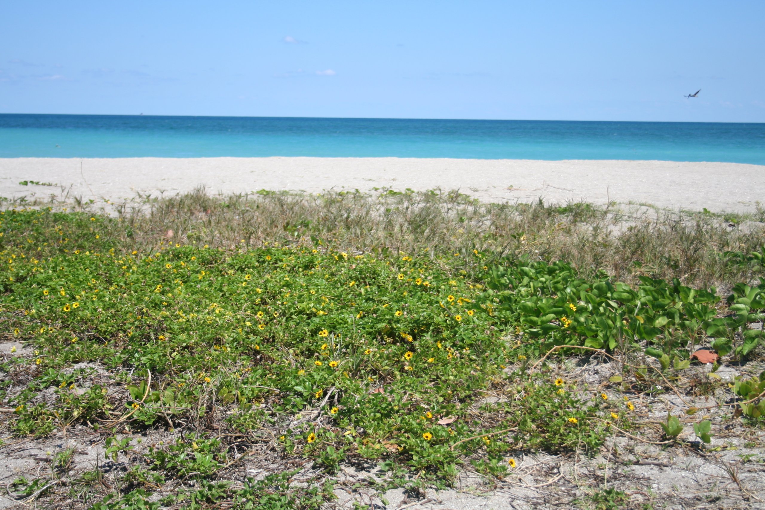 Get to Know Jetty Park