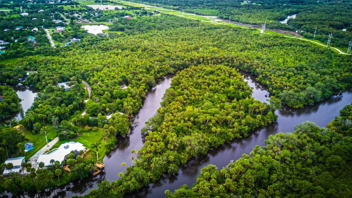 An aerial view of the trees and water at Citrus Hammock Reserve in St. Lucie.