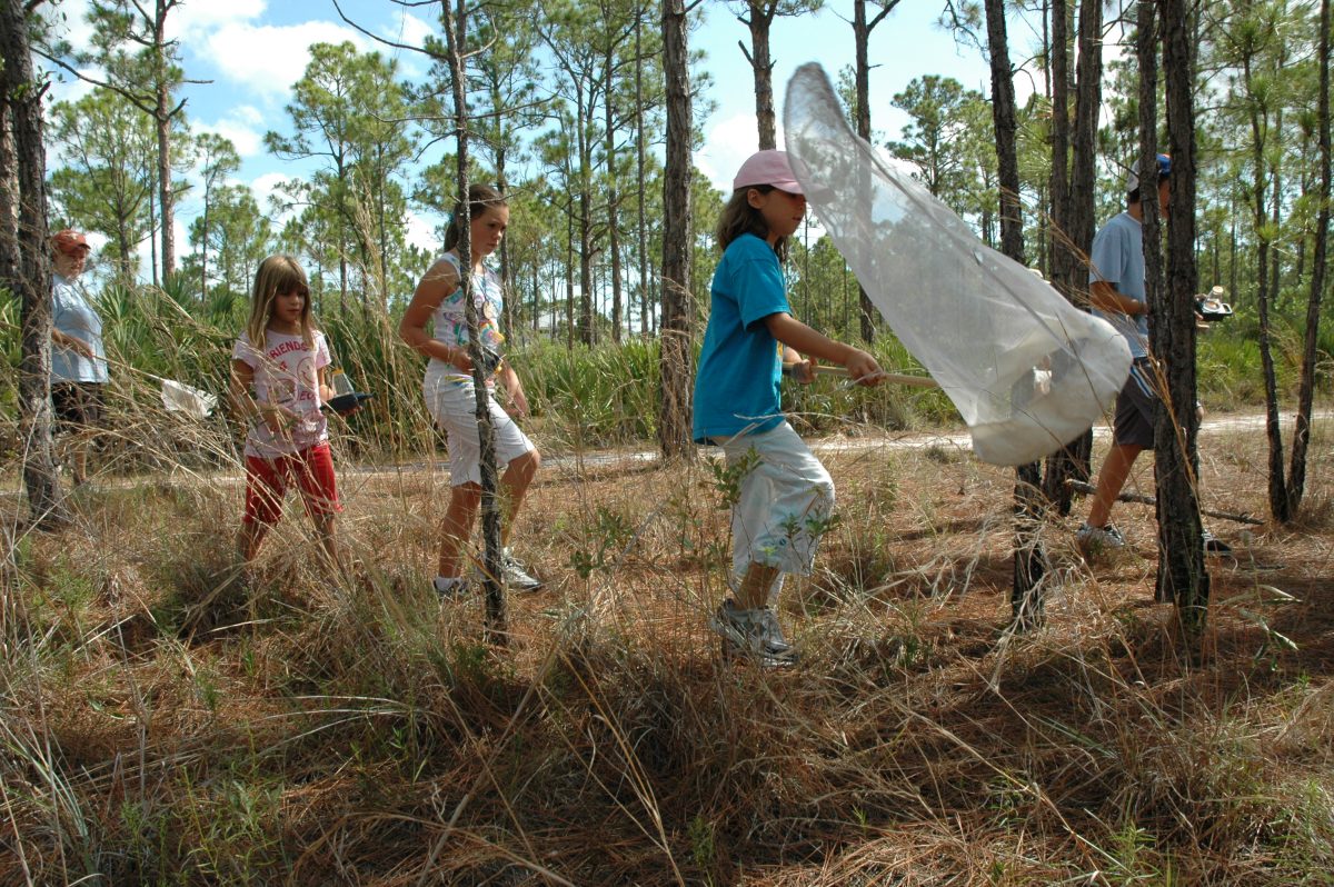 5 Reasons Why You Need to Explore the Nature & Wildlife in St. Lucie