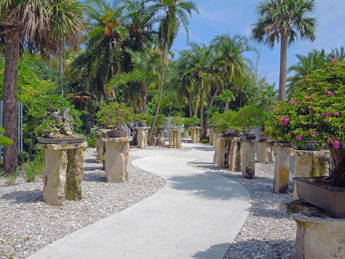 A winding paved walkway through flora and fauna at Heathcote Botanical Gardens in St. Lucie.