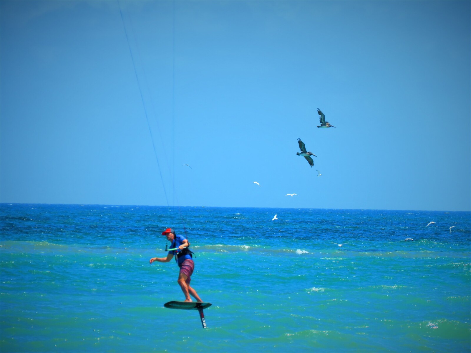 Get to Know Jetty Park