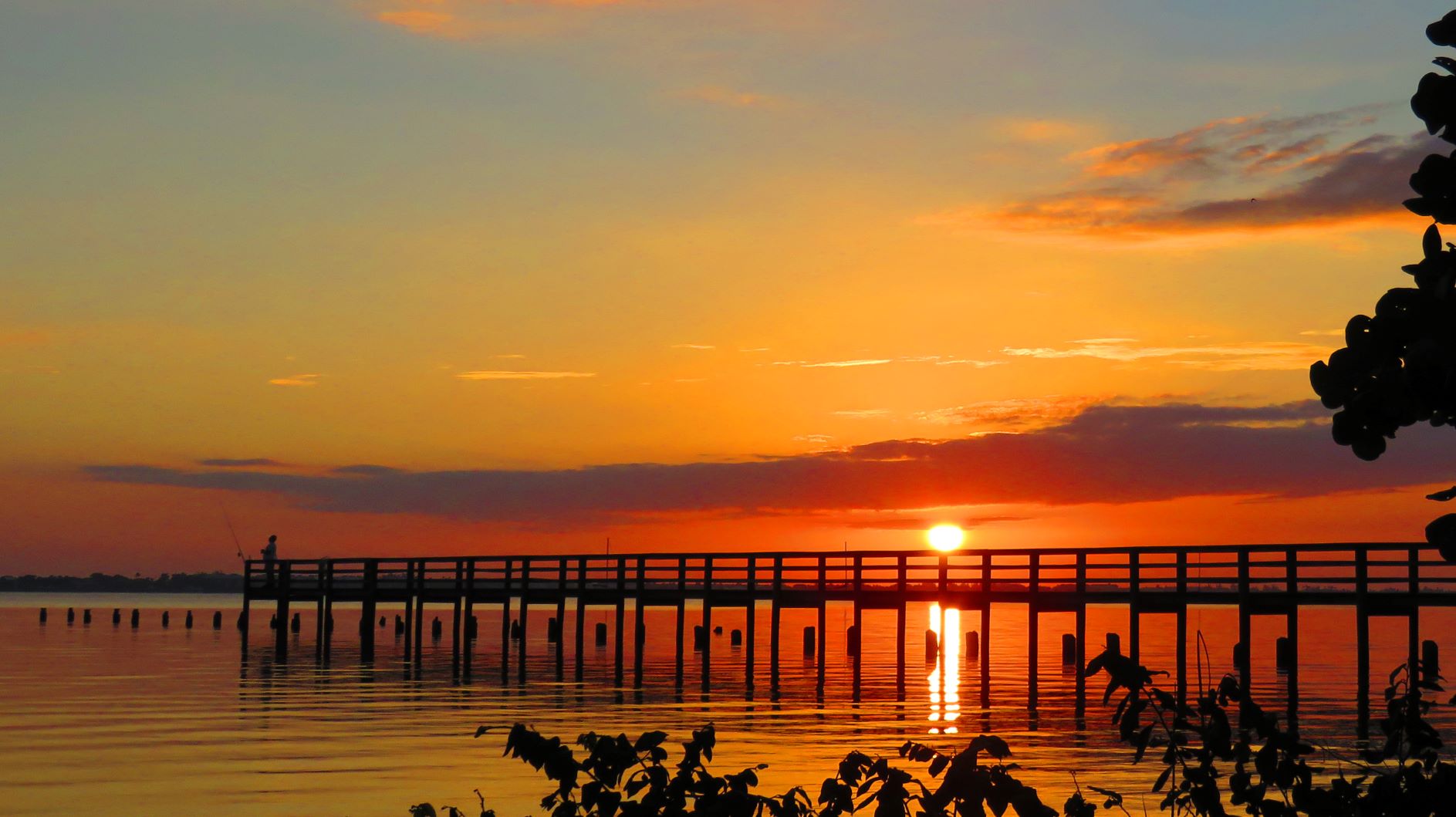 Top 4 Picturesque Drives in St. Lucie