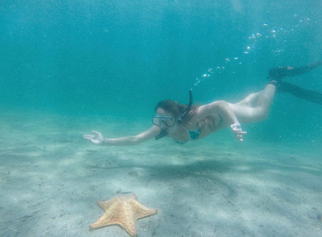 Go Snorkeling in St. Lucie