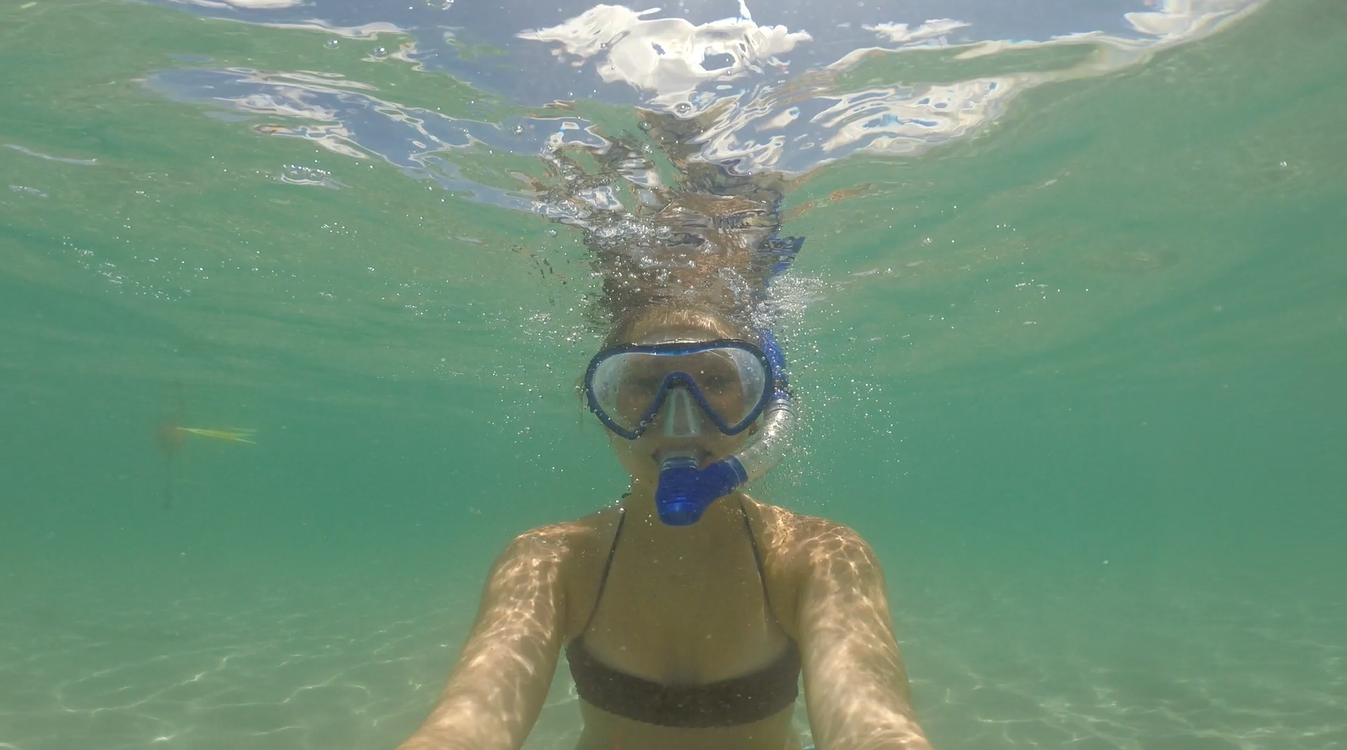 Go Snorkeling in St. Lucie