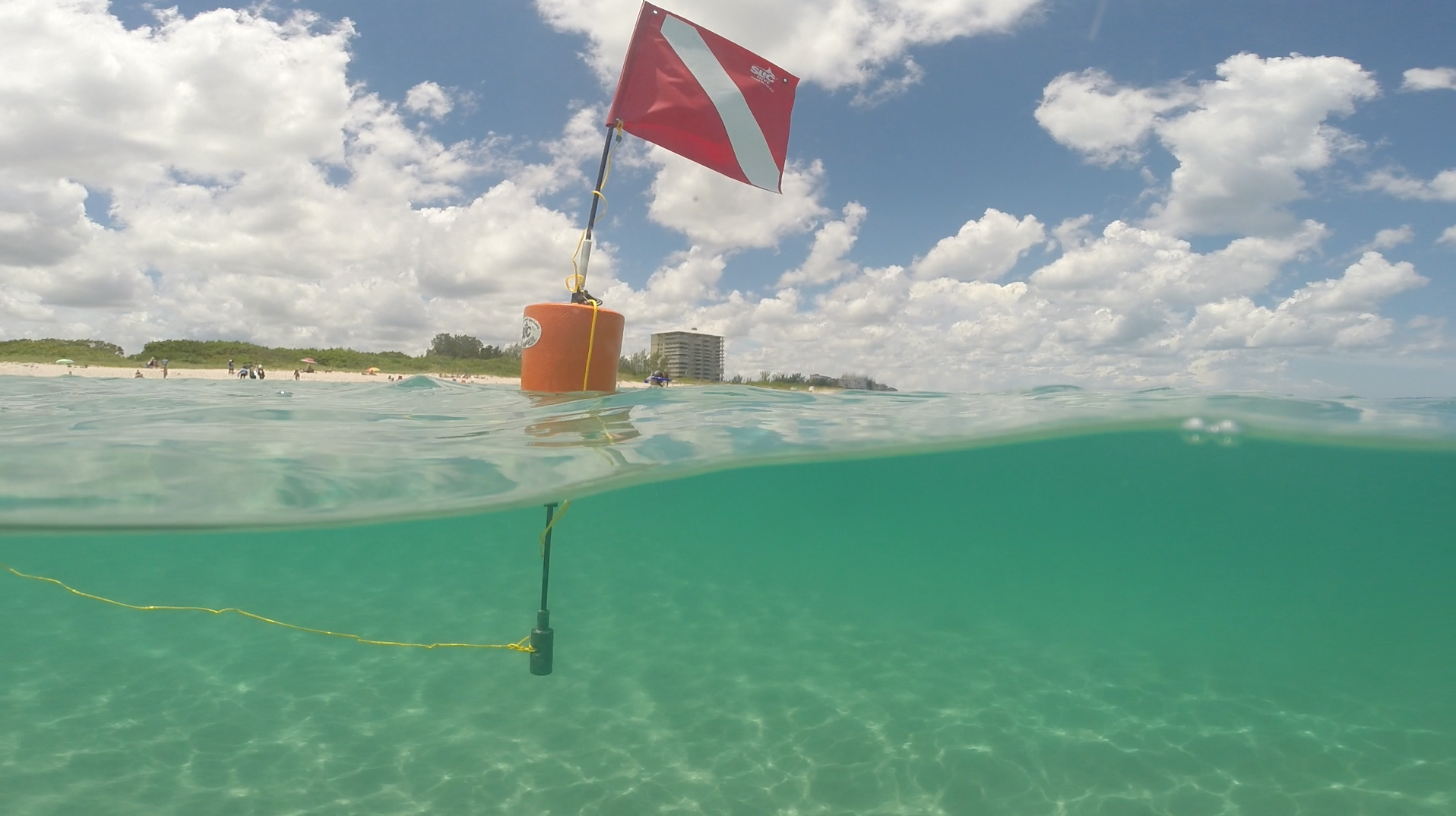 Go Snorkeling in St. Lucie