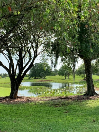 Teeing Off in Paradise