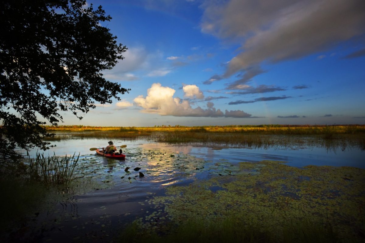 Surprising Things You Can Do in our State Parks