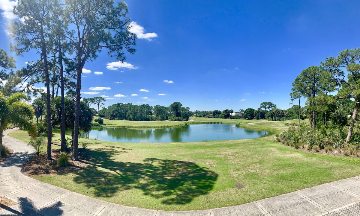 Teeing Off in Paradise