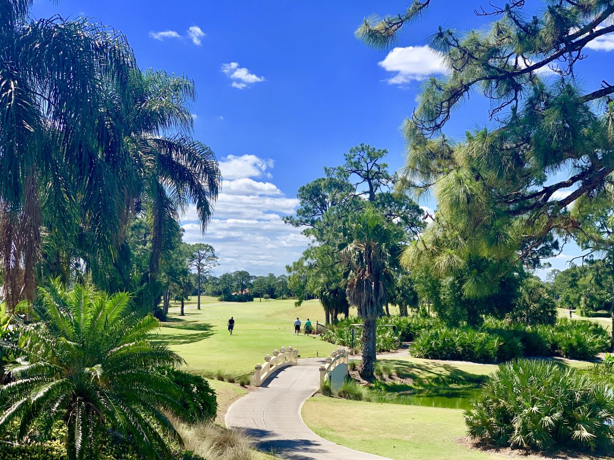 Teeing Off in Paradise