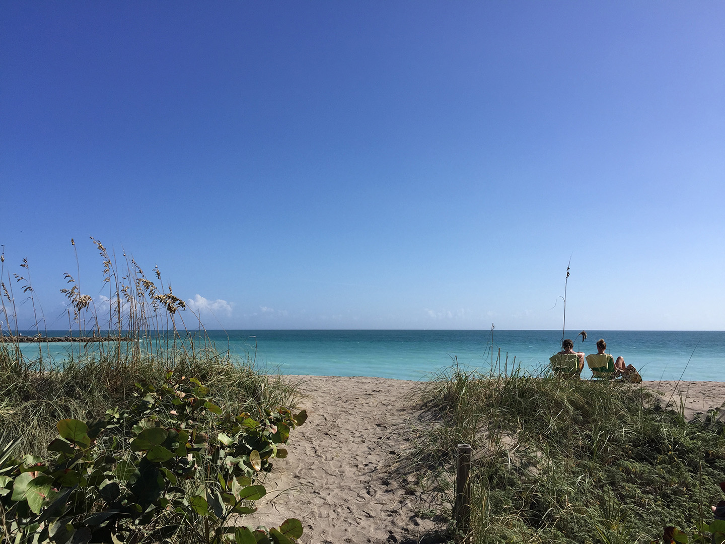 Top Reasons to Visit Fort Pierce this Summer