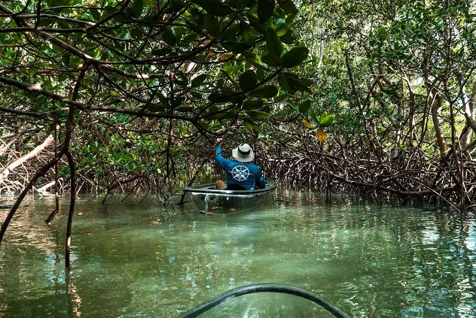 Get Up and Go Kayaking – Fort Pierce image