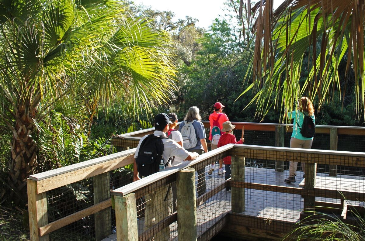 5 Reasons Why You Need to Explore the Nature & Wildlife in St. Lucie