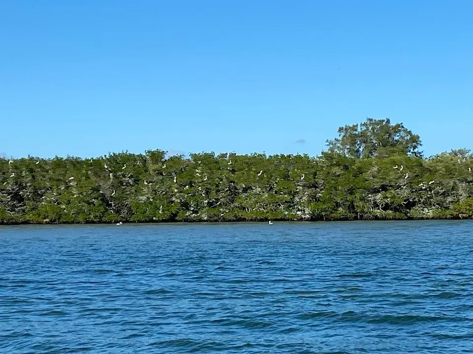 Indian River Lagoon Boat Tours