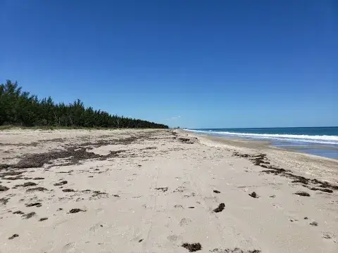 Middle Cove Beach