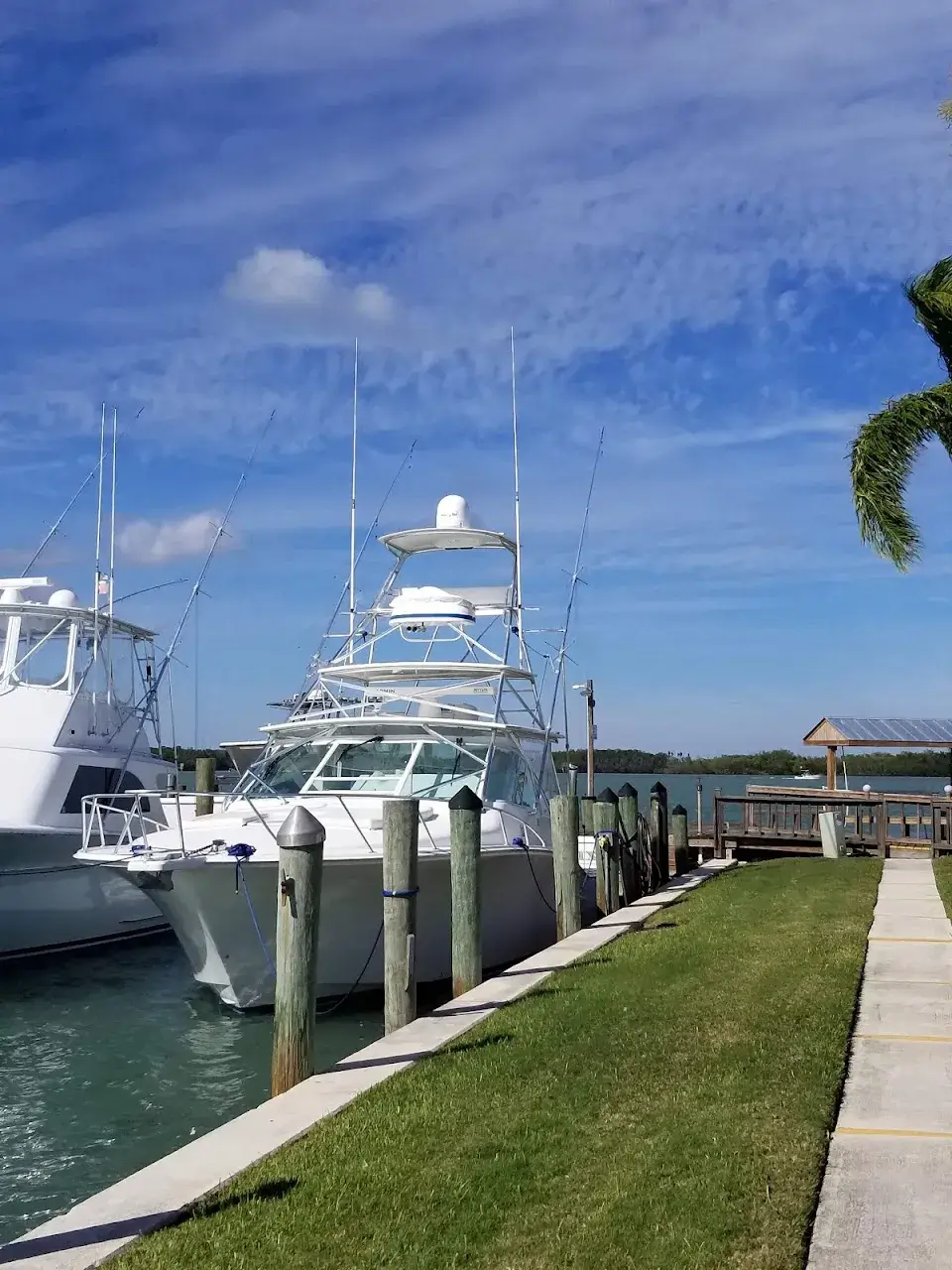 Pelican Yacht Club & Marina