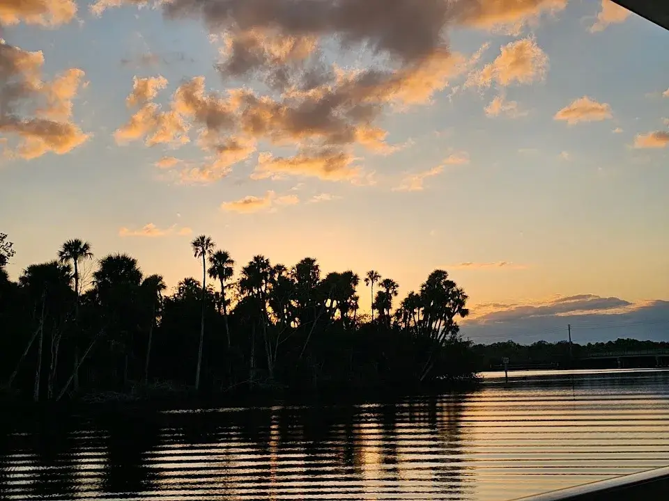 River Lilly Cruises image