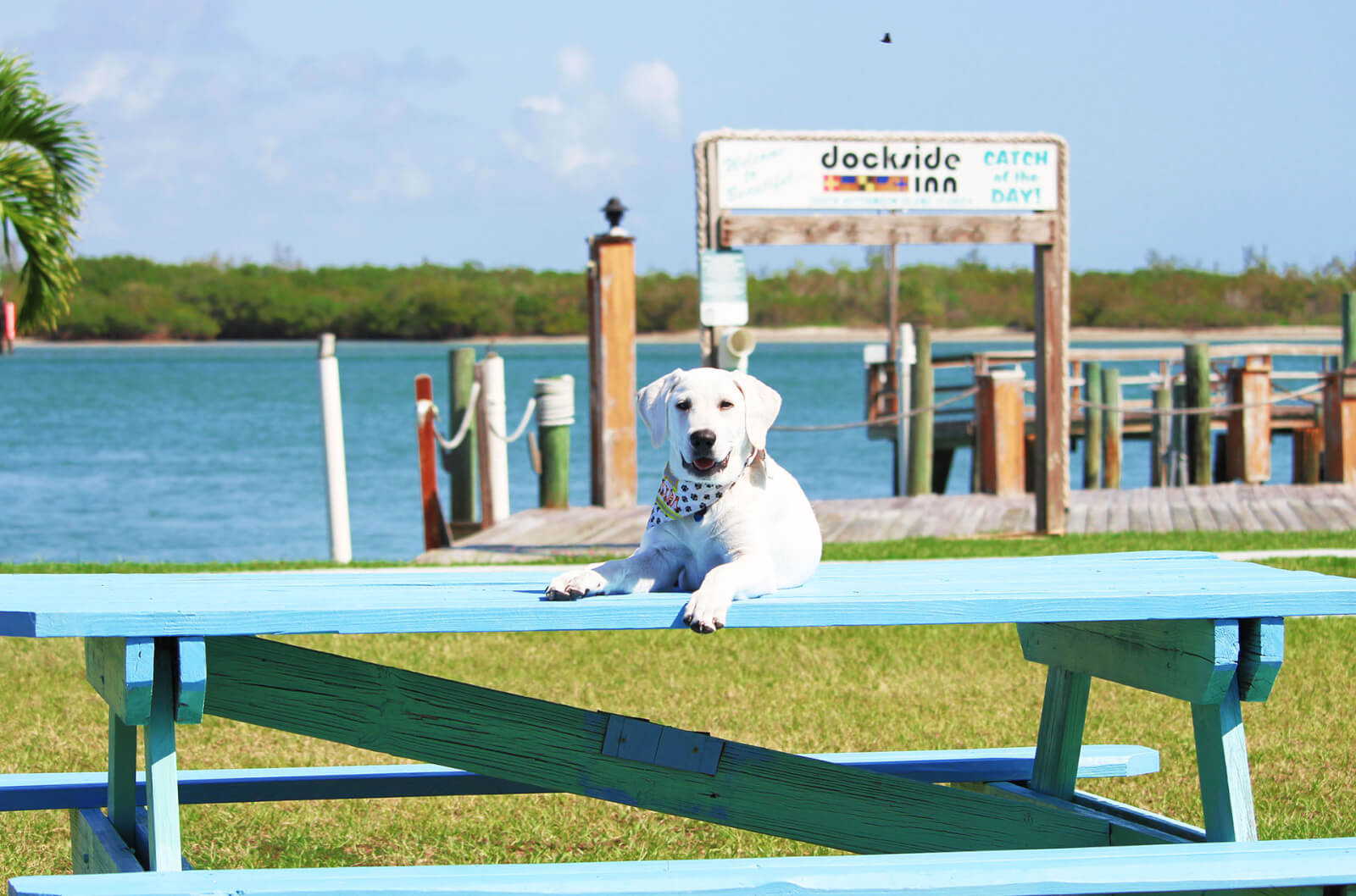 Kodak Moments in St. Lucie