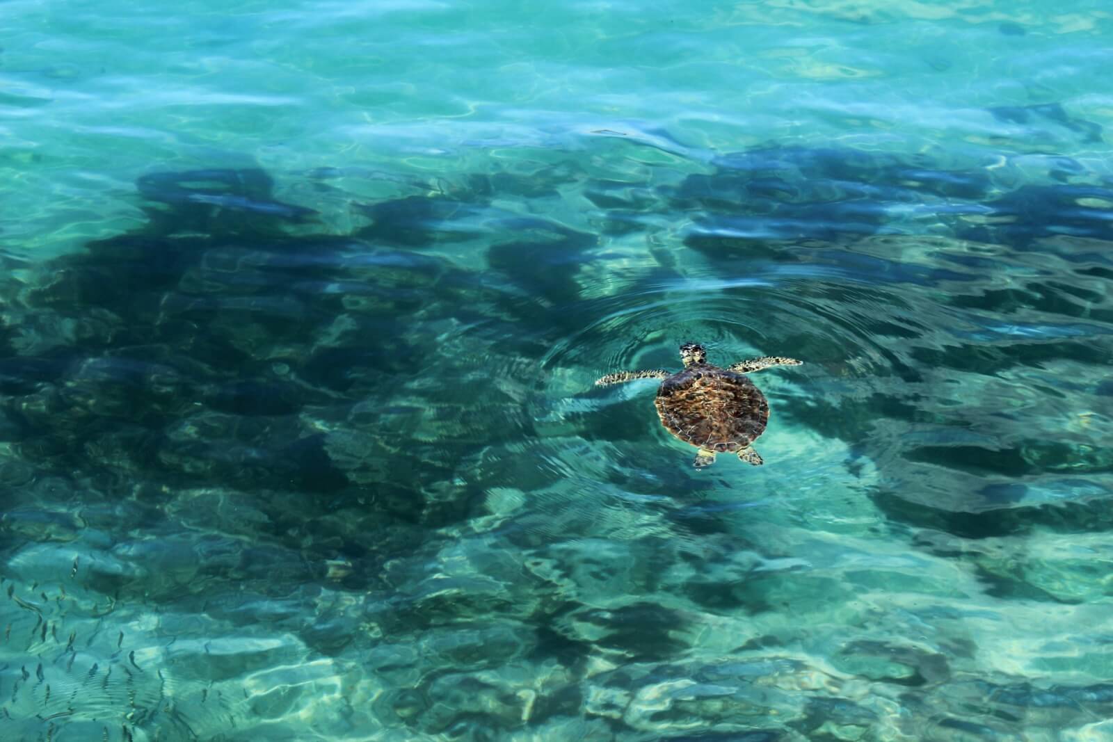 Every Day Is A Beach Day